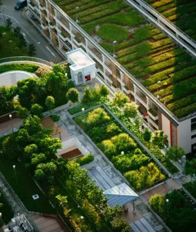 regulatory-landscape-400x474